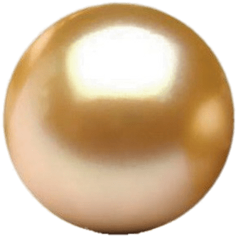 Golden South Sea Pearl - Golden South Sea Pearl (400x400)