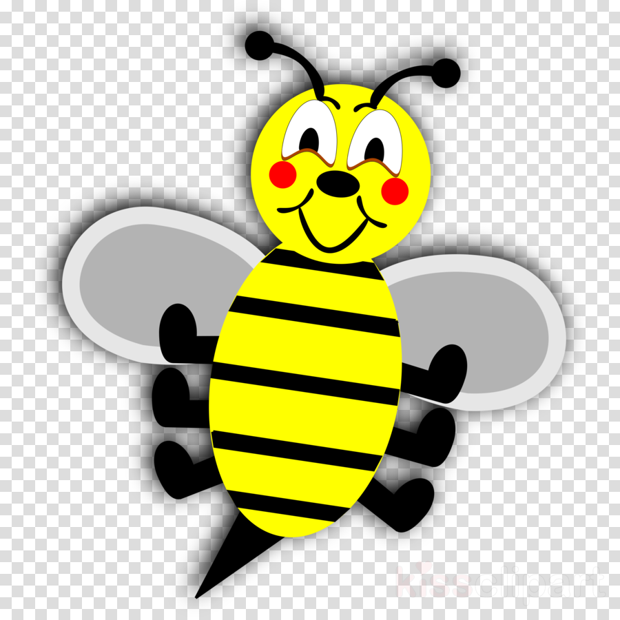 Bee Without Background Clipart Honey Bee Clip Art - Bee Without Background Clipart Honey Bee Clip Art (900x900)