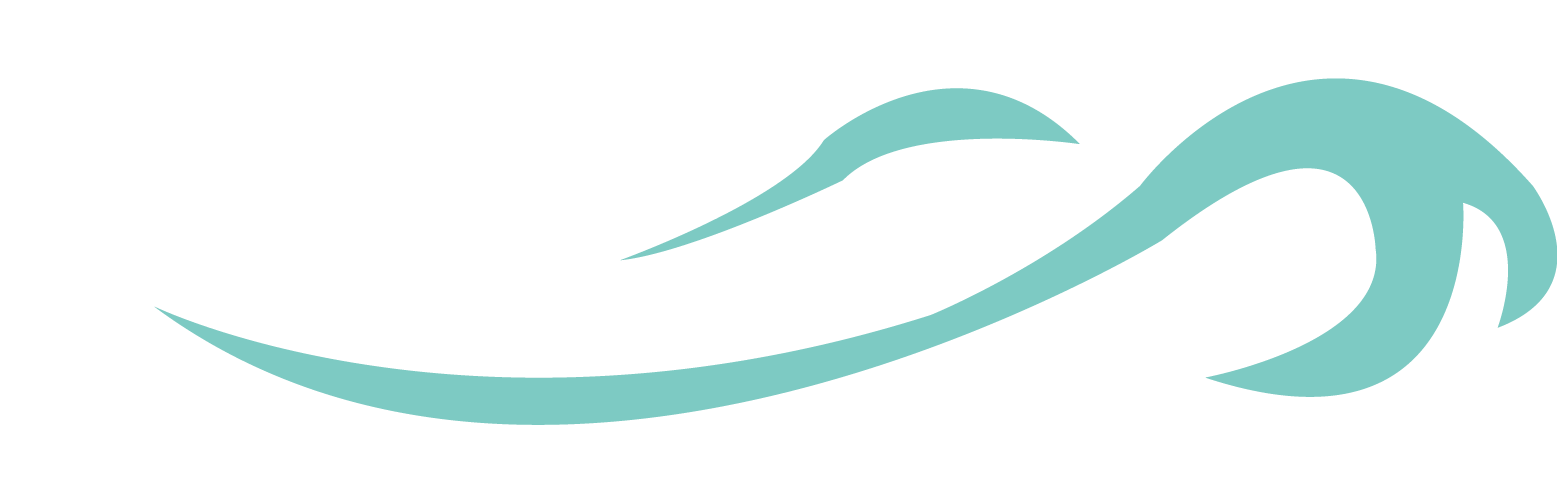 Whitewater Pulse Is A French Association That Sprang - Whitewater Pulse Is A French Association That Sprang (1557x500)