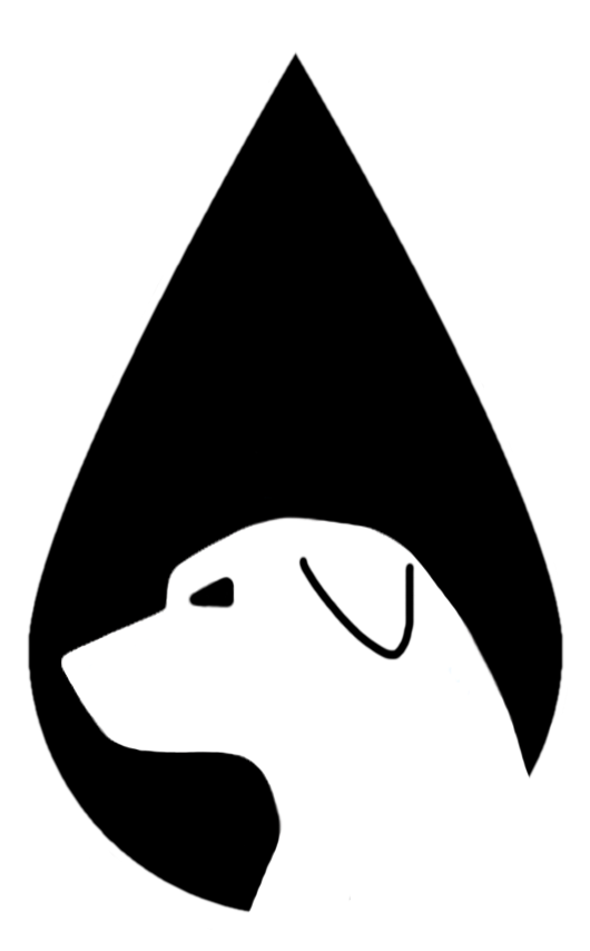 River Dog Outfitters - River Dog Outfitters (864x864)