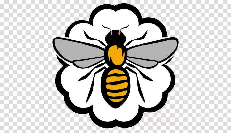 Honey Bee Clipart Honey Bee - Honey Bee Clipart Honey Bee (900x520)