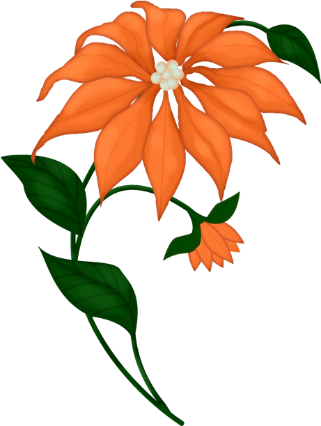 Fantasy Moments ~ Unusual Christmas Christmas Flowers, - Fantasy Moments ~ Unusual Christmas Christmas Flowers, (472x621)