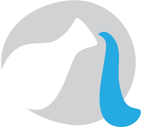 Png Download Now - Png Download Now (486x430)