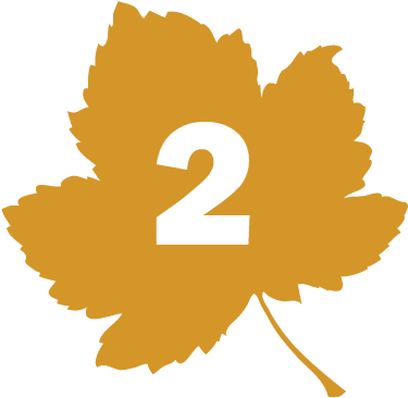 6 Fall Family Adventures - 6 Fall Family Adventures (400x400)