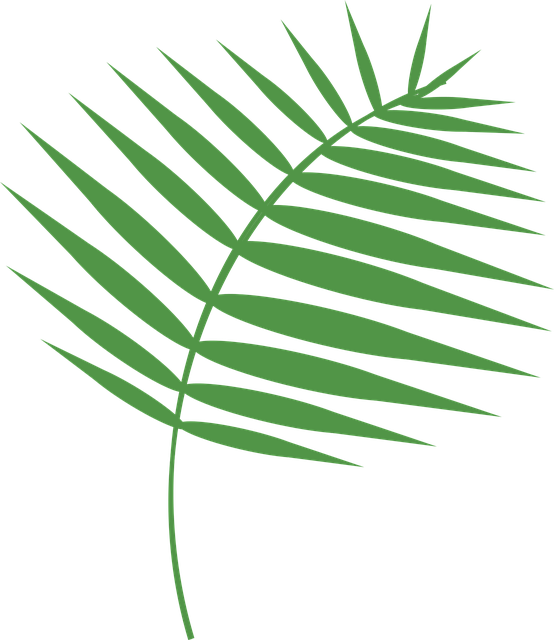 Download This Free Picture About Graphic Palm Sunday - Download This Free Picture About Graphic Palm Sunday (554x640)