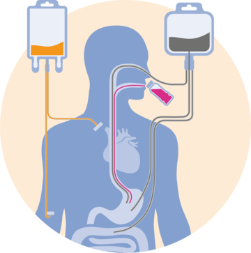 Medical Nutrition - Medical Nutrition (360x363)
