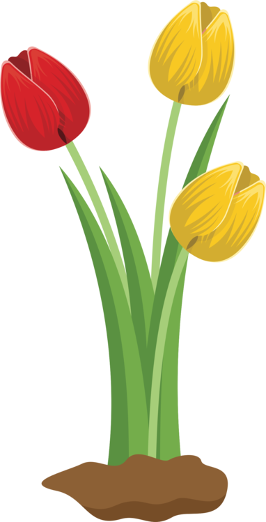 All Photo Png Clipart - All Photo Png Clipart (382x749)