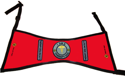 Silver Therapy Dog Identification Kit - Silver Therapy Dog Identification Kit (400x400)