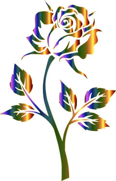 All Photo Png Clipart - All Photo Png Clipart (480x750)