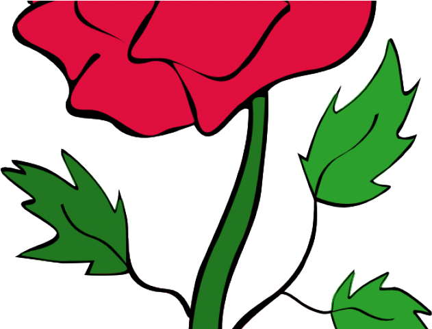 Red Rose Clipart Rose Bush - Red Rose Clipart Rose Bush (640x480)