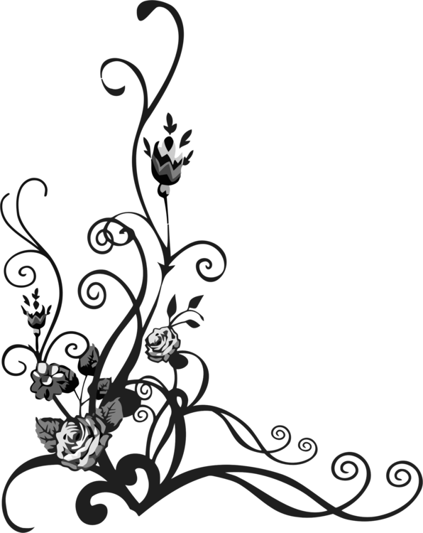 All Photo Png Clipart - All Photo Png Clipart (596x750)