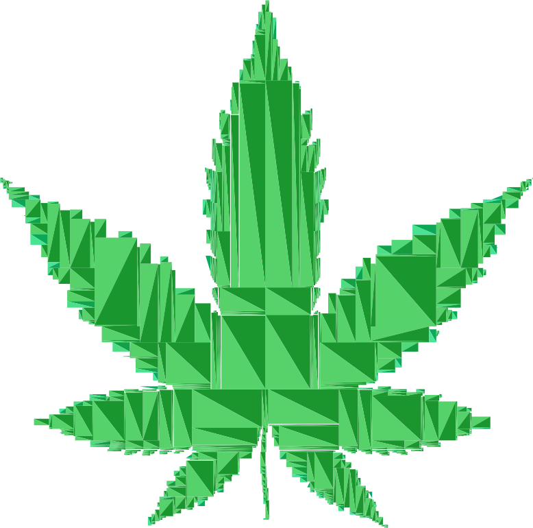 Medical Cannabis Cannabis Smoking Drug - Medical Cannabis Cannabis Smoking Drug (778x770)