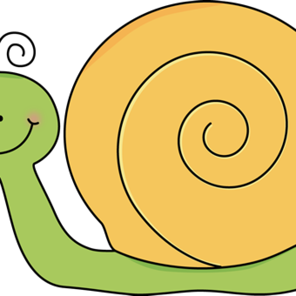 Snail Clip Art Free Snail Cliparts Download Free Clip - Snail Clip Art Free Snail Cliparts Download Free Clip (1024x1024)