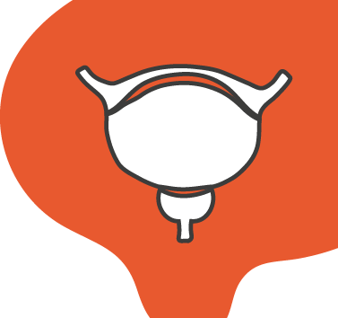 Bladder - Bladder (377x354)