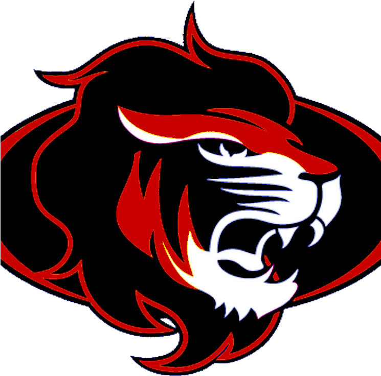 Furious Lion - Furious Lion (744x744)