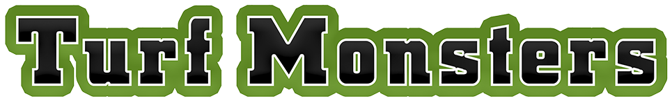 Satisfaction Guaranteed - Satisfaction Guaranteed (1000x205)