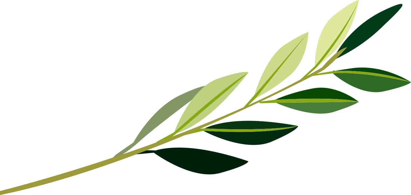 ~mother Teresa~ - ~mother Teresa~ (1401x664)