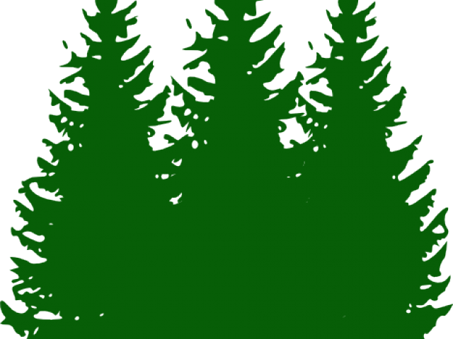 Tree Clipart Clipart Green Tree - Tree Clipart Clipart Green Tree (640x480)