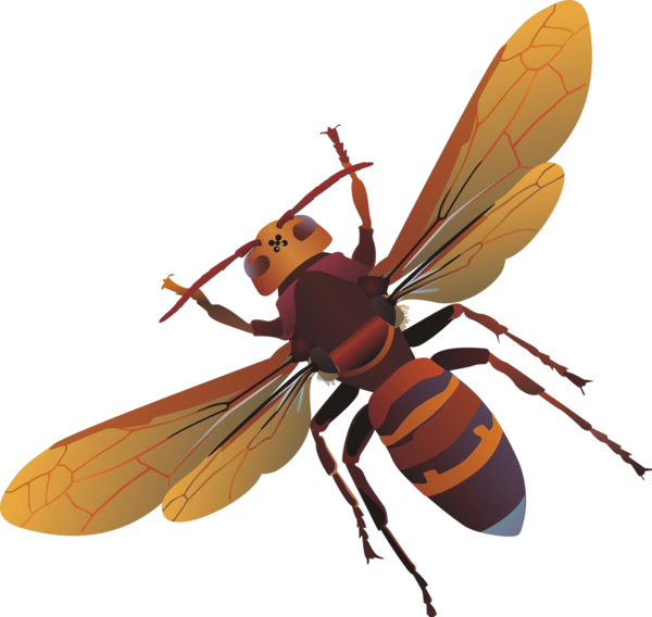 Clip - Clip (600x568)