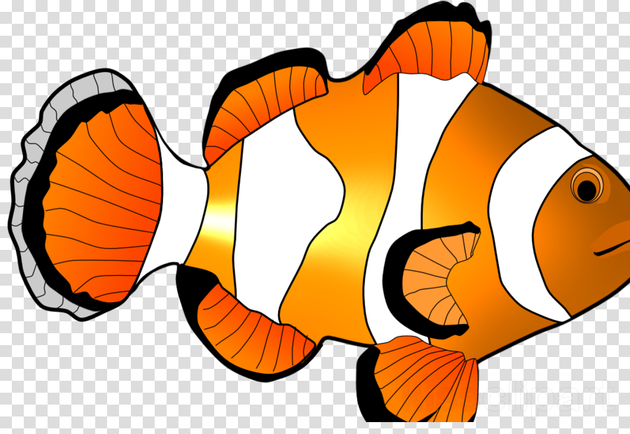 Fish Clipart Clownfish Clip Art - Fish Clipart Clownfish Clip Art (900x620)
