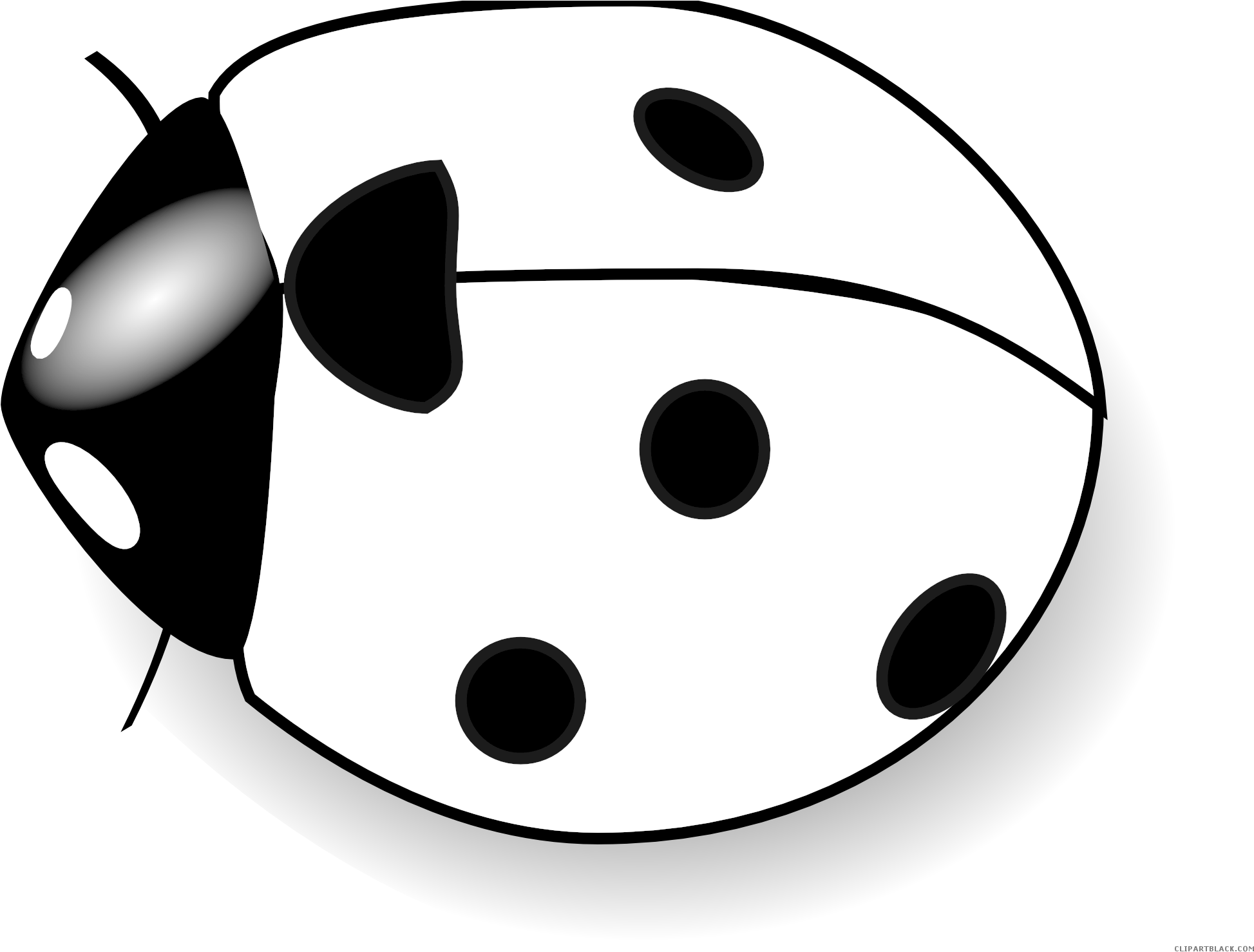 Graphic Black And White Library Clipartblack Com Animal - Graphic Black And White Library Clipartblack Com Animal (1969x1485)