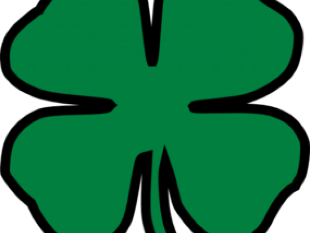 Shamrock Clipart Owl - Shamrock Clipart Owl (640x480)