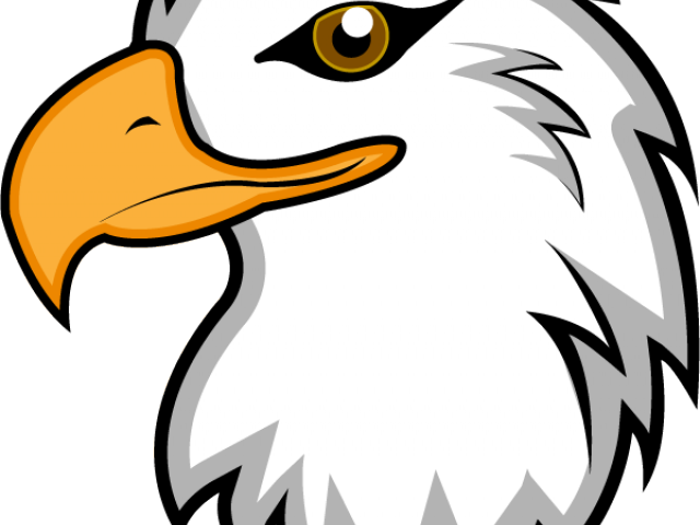 Phillipine Eagle Clipart Head - Phillipine Eagle Clipart Head (640x480)