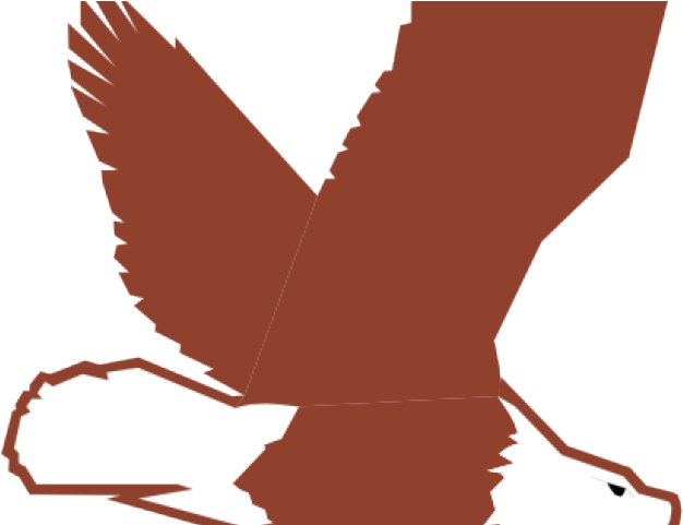 Bald Eagle Clipart Small Cartoon - Bald Eagle Clipart Small Cartoon (640x480)