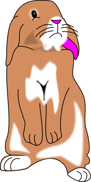 Hare Domestic Rabbit Sad - Hare Domestic Rabbit Sad (374x750)