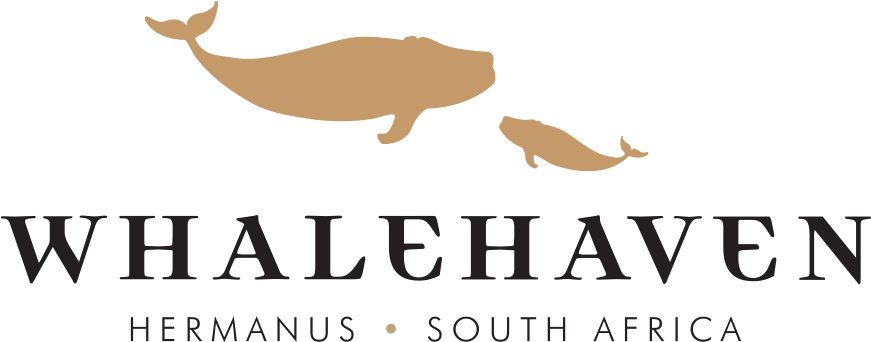 Whalehaven Wines Whalehaven Wines - Whalehaven Wines Whalehaven Wines (900x355)