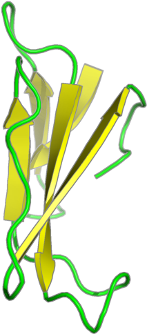 Nmr Structure With Tightly Bound Water Molecules Of - Nmr Structure With Tightly Bound Water Molecules Of (800x600)