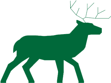 Deer Safari - Deer Safari (425x344)