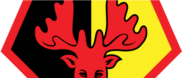 Wonderful Watford Fc Offer Community, Family, Fun, - Wonderful Watford Fc Offer Community, Family, Fun, (669x272)