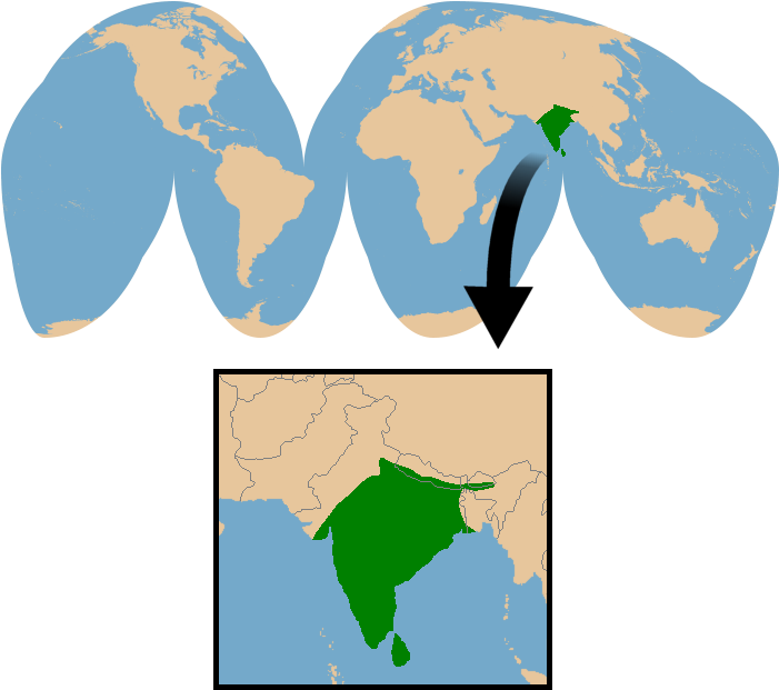 Conservation Status - Conservation Status (700x640)