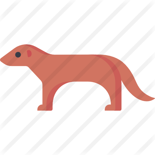Mongoose Free Icon - Mongoose Free Icon (512x512)