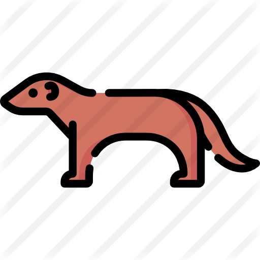 Mongoose Free Icon - Mongoose Free Icon (512x512)