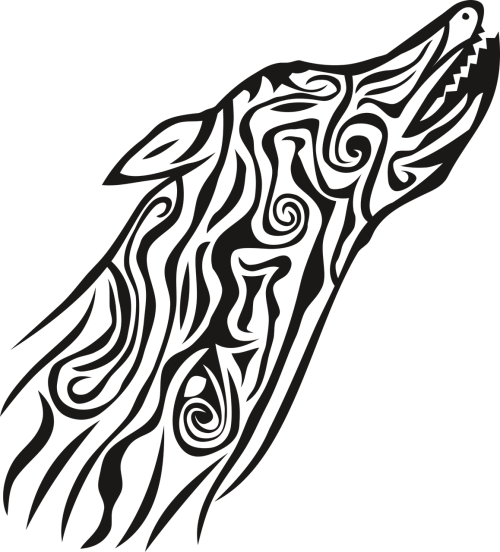 Wolf,animal,large Background, - Wolf,animal,large Background, (500x552)