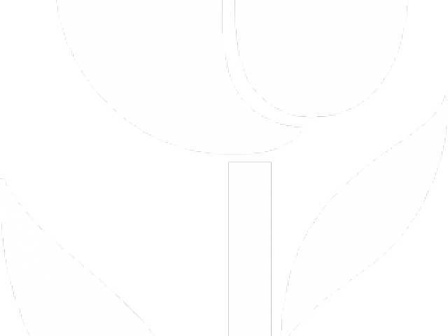 Tulip Clipart Large - Tulip Clipart Large (640x480)