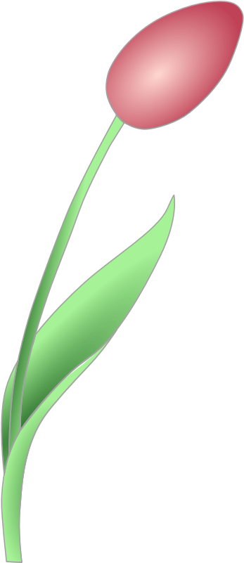 Clipart - Simple Tulip - Clipart - Simple Tulip (800x800)