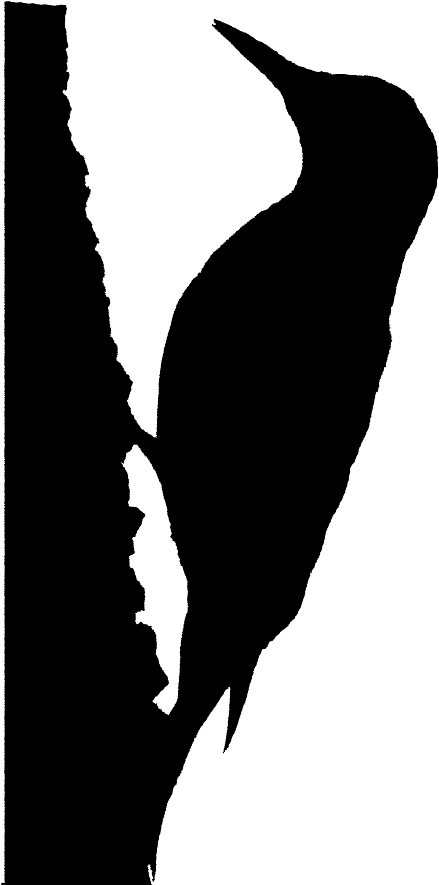 Red Bellied Woodpecker Silhouette Clipart Woodpecker - Red Bellied Woodpecker Silhouette Clipart Woodpecker (900x1766)