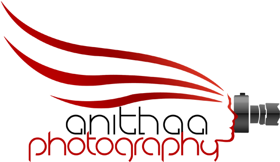 Clip Art Logo On Photography - Clip Art Logo On Photography (571x328)