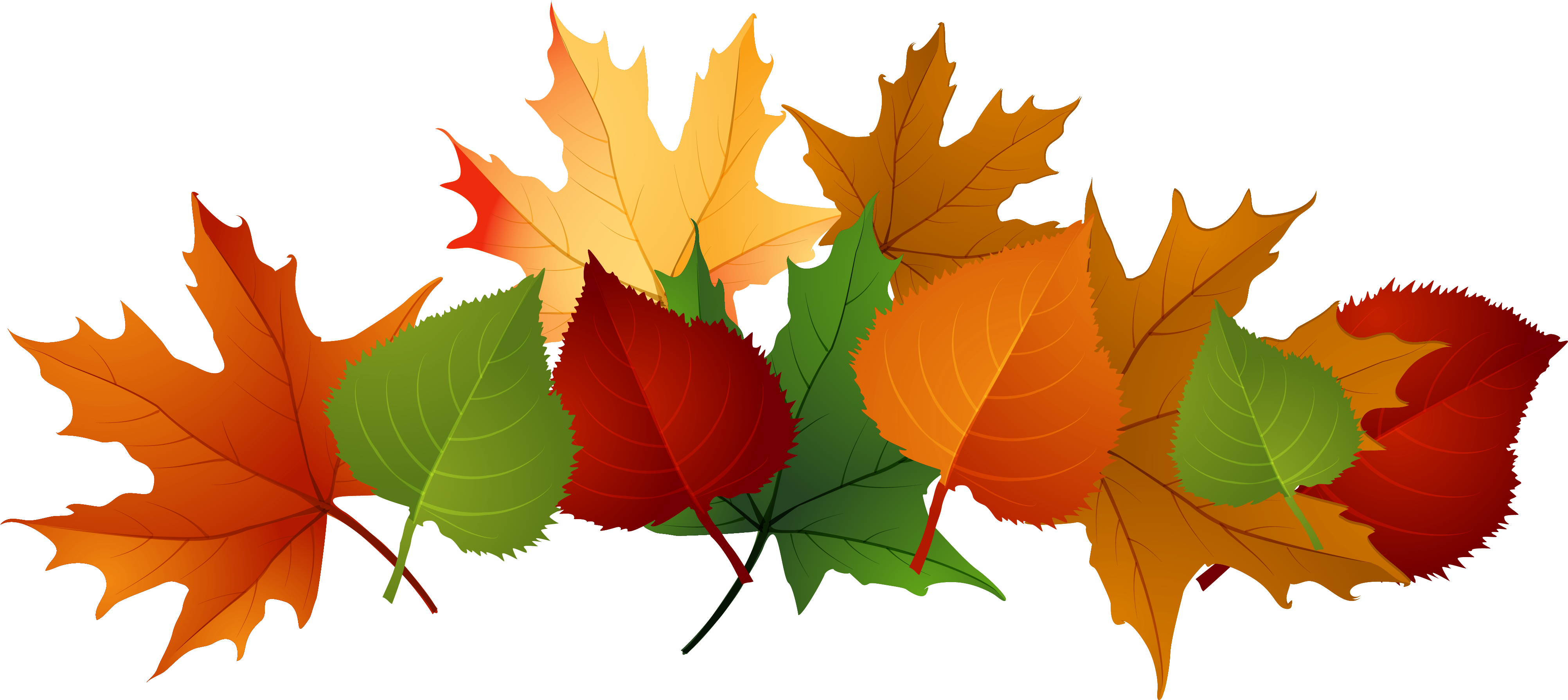 Autumn Leaves Pile Clip Art - Autumn Leaves Pile Clip Art (4008x1788)