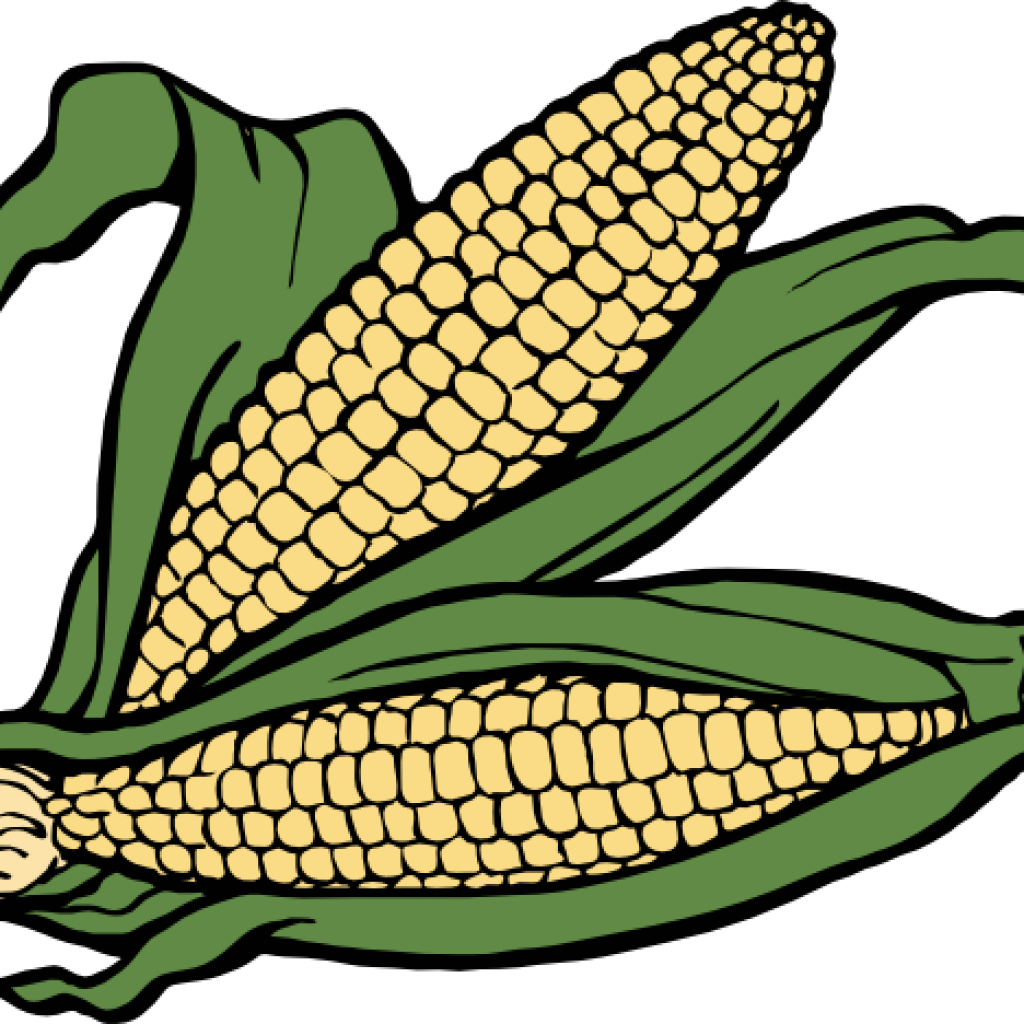 Corn Clipart Corn Clip Art Clipart Panda Free Clipart - Corn Clipart Corn Clip Art Clipart Panda Free Clipart (1024x1024)