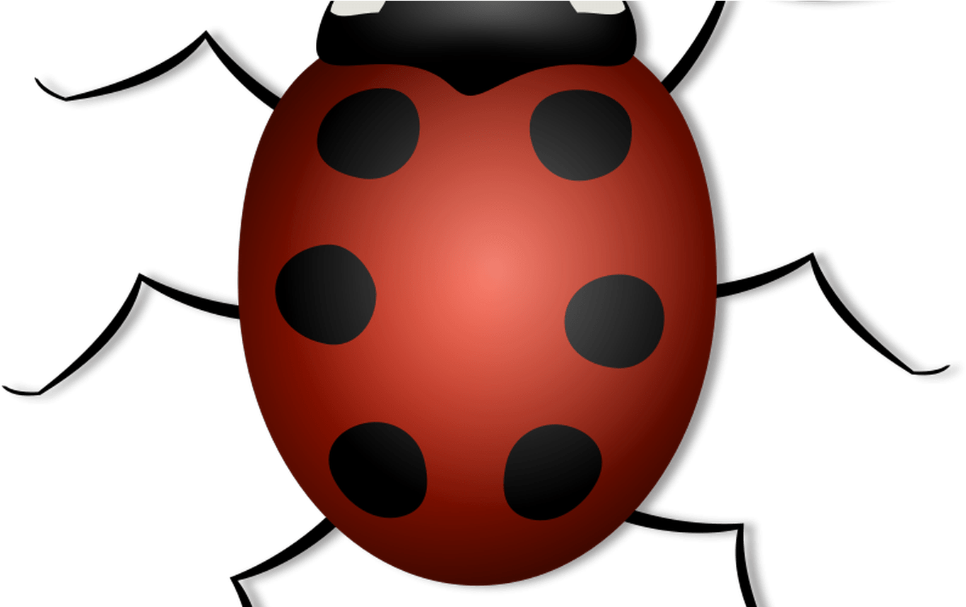 Free Lady Bug Clipart, Download Free Clip Art, Free - Free Lady Bug Clipart, Download Free Clip Art, Free (1361x856)