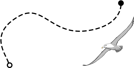 Trail With Seagull - Trail With Seagull (580x240)