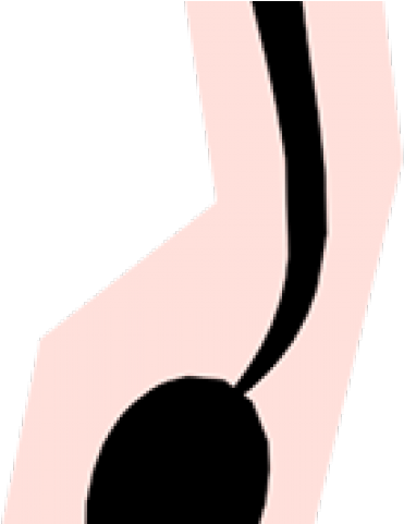 Mule Clipart Donkey Tail - Mule Clipart Donkey Tail (640x480)