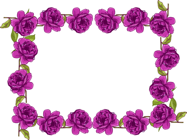 Purple Rose Clipart Border - Purple Rose Clipart Border (640x480)