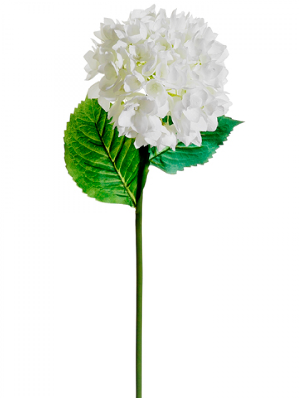 Inch Spray White - Inch Spray White (800x800)