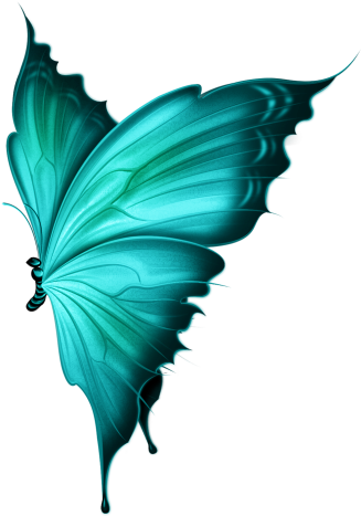 Clip Art Transparent Download Papillons Pinterest And - Clip Art Transparent Download Papillons Pinterest And (351x486)