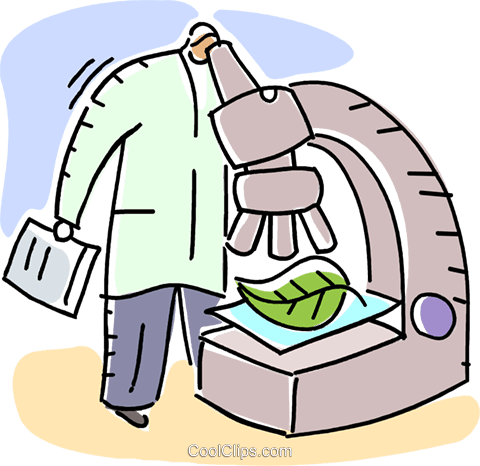 Oh La La Plants With Suggestive Names - Oh La La Plants With Suggestive Names (480x466)